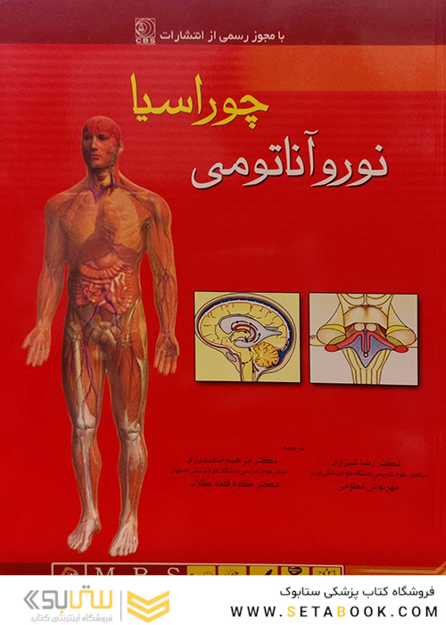 نوروآناتومی چوراسیا