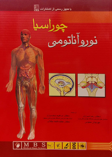 عکس نوروآناتومی چوراسیا