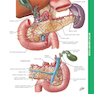 کتاب 2015 ICD-9-CM for Hospitals