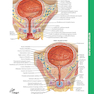 کتاب 2015 ICD-9-CM for Hospitals