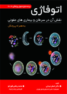 عکس اتوفاژی  نقش آن در سرطان و بیماری های عفونی به همراه پروتکل