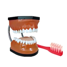 عکس مولاژ دندان متوسط