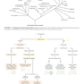 Lehninger Principles of Biochemistry Eighth Edicion