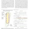 Lehninger Principles of Biochemistry Eighth Edicion