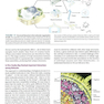 Lehninger Principles of Biochemistry Eighth Edicion