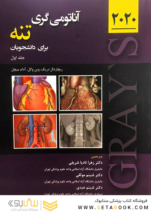 آناتومی گری تنه  2020