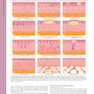 همراه باویدئو Dermatology Bolognia