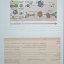 ایمونولوژی سلولی و مولکولی ابوالعباس 2022