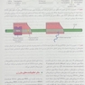 جنین شناسی پزشکی لانگمن 2019