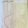 آناتومی گری اندام (جلد2) 2020