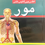اطلس جیبی آناتومی بالینی  مور