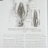 درسنامه جامع مامایی (خلاصه دروس)