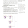 USMLE Step 1 Lecture Notes 2022: 7-Book Set