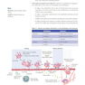 USMLE Step 1 Lecture Notes 2022: 7-Book Set