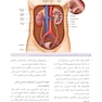 آنالیز ادرار و مدفوع