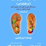 راهنمای طب سوزنی گوش (اوریکولوتراپی)