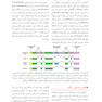 جنین شناسی لانگمن 2019 ویراست چهاردهم (رنگی)