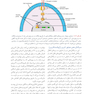 جنین شناسی لانگمن 2019 ویراست چهاردهم (رنگی)