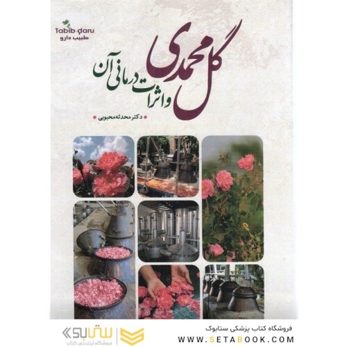 گل محمدی و اثرات درمانی ان