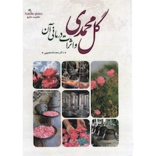 عکس گل محمدی و اثرات درمانی آن