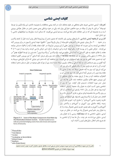 عکس جزوه درسنامه ایمونولوژی  ویرایش پنجم