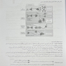 نمودارنامه ایمنی شناسی