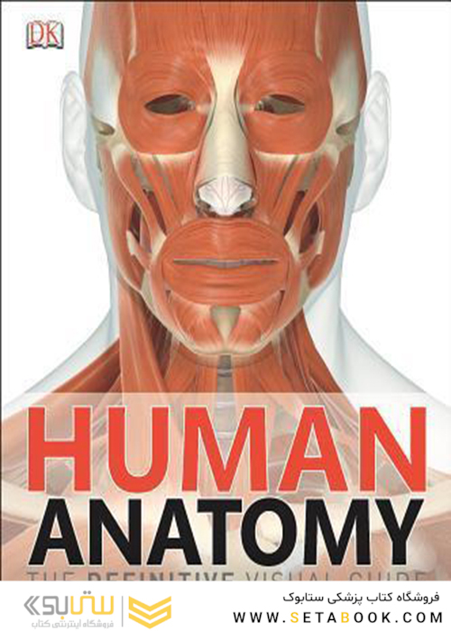 Human Anatomy