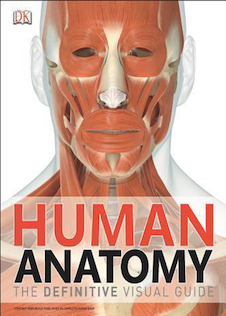 عکس Human Anatomy