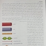 آناتومی گری برای دانشجویان تنه (جلد 1) 2020