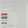 آناتومی گری برای دانشجویان 2020 (جلد2 ) اندام