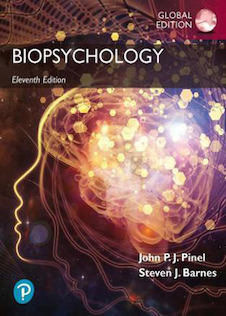 عکس Biopsychology, Global Edition, 11th Edition