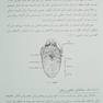 راهنمای بالینی تشخیص از طریق زبان