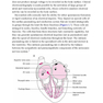 Marriott’s Practical Electrocardiography 13th