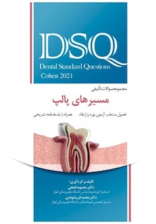 عکس DSQ مجموعه سوالات تالیفی مسیرهای پالپ 2021