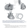 Manual of Perioperative Care in Adult Cardiac Surgery