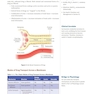 USMLE step 1  Lecture notes 2022:Pharmacology