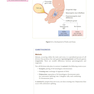 USMLE Step 1 Lecture Notes 2022: Anatomy