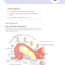 USMLE Step 1 Lecture Notes 2022: Anatomy