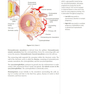 USMLE Step 1 Lecture Notes 2022: Anatomy