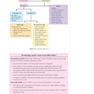 USMLE Step 2 CK Lecture Notes 2022: Pediatrics