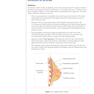 USMLE Step 2 CK Lecture Notes 2022: Obstetrics and Gynecology