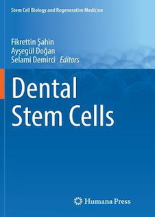 عکس Dental Stem Cells