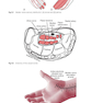 Easy EMG : A Guide to Performing Nerve Conduction Studies and Electromyography