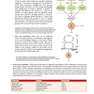 First Aid Clinical Pattern Recognition for the USMLE Step 1