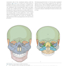 Principles of Internal Fixation of the Craniomaxillofacial Skeleton : Trauma and Orthognathic Surgery 2012