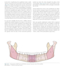 Principles of Internal Fixation of the Craniomaxillofacial Skeleton : Trauma and Orthognathic Surgery 2012