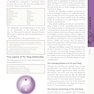 The Foundations of Chinese Medicine : A Comprehensive Text