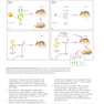 Molecular Biology 5th Edition 2012