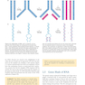 Molecular Biology 5th Edition 2012