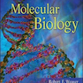 Molecular Biology 5th Edition 2012